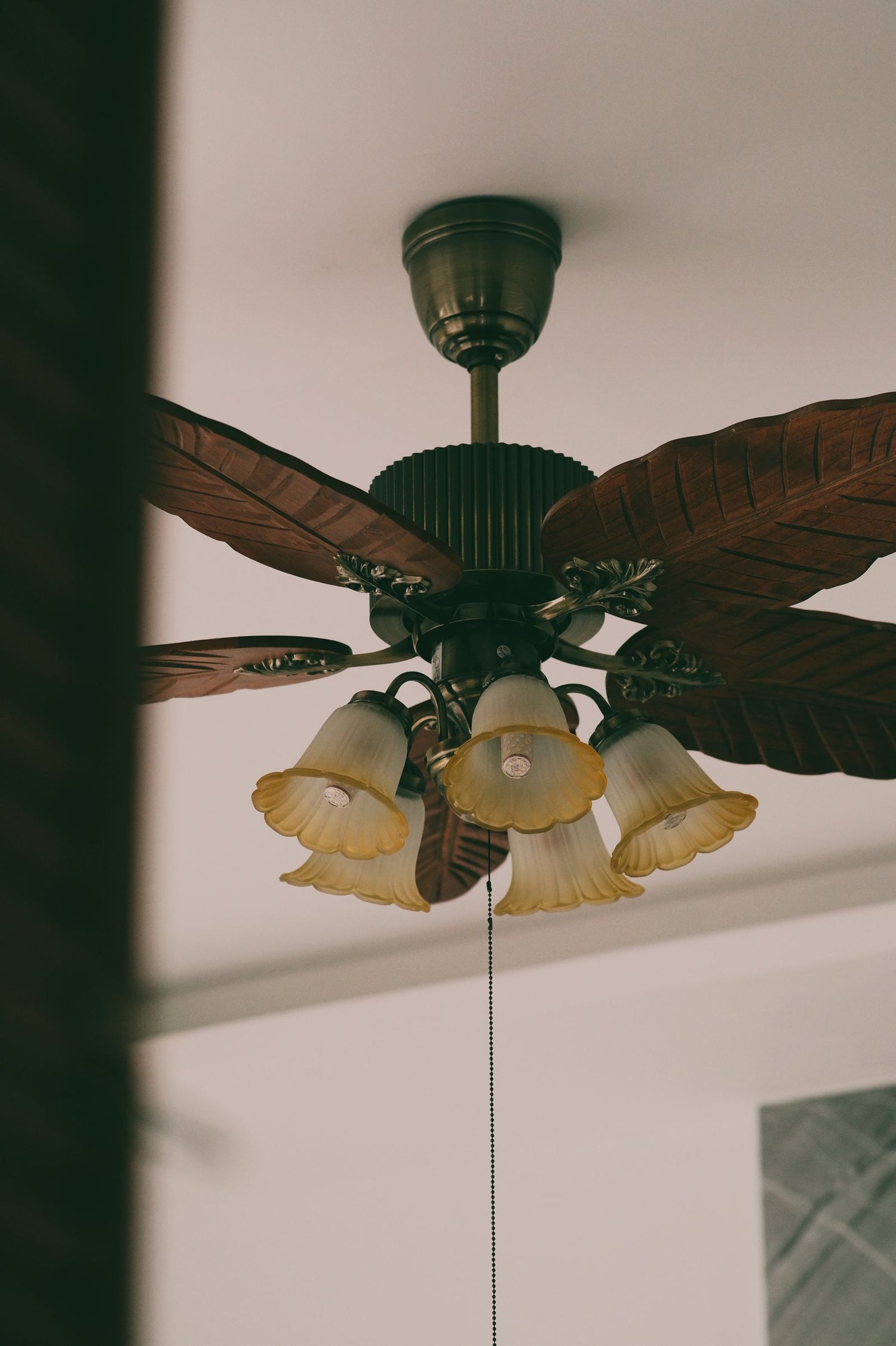 Ceiling fan close-up